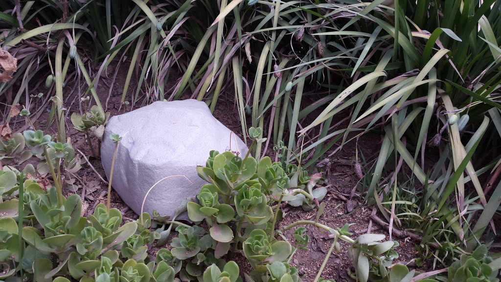 Landscape Rat Station